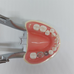 Instruktionsmodel til Tandbrstning 